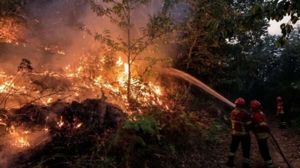 Разрушительные лесные пожары в Португалии: трагедия и борьба Разрушительные лесные пожары в Португалии: трагедия и борьба