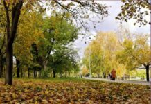 Вечер кинохитов и стендап Богдана Боярина: куда пойти в Одессе в пятницу и эти выходные