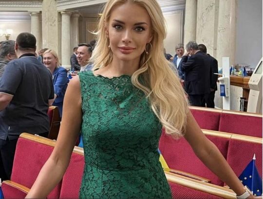 Нардепку Кормишкіну відпустили на поруки Давида Арахамії та Віталія Кіма, — САП
