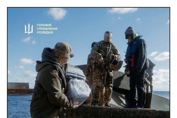 С острова Змеиный эвакуировали котов С острова Змеиный эвакуировали котов
