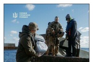 С острова Змеиный эвакуировали котов С острова Змеиный эвакуировали котов