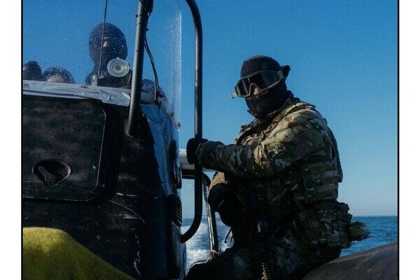 С острова Змеиный эвакуировали котов С острова Змеиный эвакуировали котов