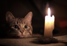 Воскресенье без электроэнергии: где отключили свет в Одессе и когда его вернут