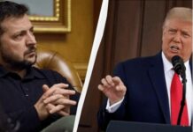 Має спільні риси з путіним: експертка про те, чому Трамп назвав Зеленського диктатором