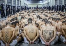 Сможет ли мега-тюрьма Сальвадора принять американских преступников?