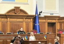 Рада позбавила мандата нардепа Кормишкіну, яка потрапила у скандал