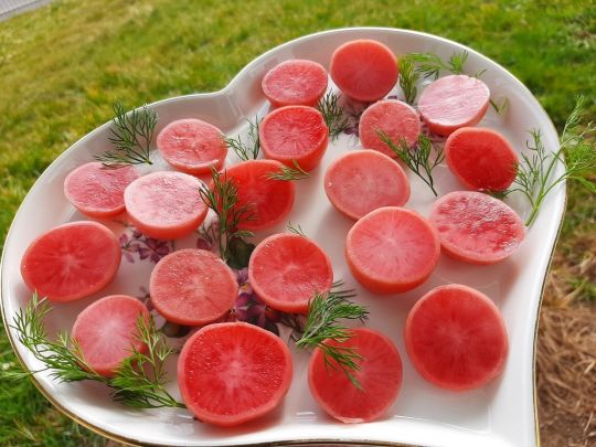 Маринована редиска з буряком: цей делікатес готується легко та просто