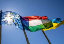 Суперник Орбана здивував заявою про членство України в ЄС