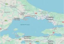 У Туреччині стався потужний землетрус: що відомо