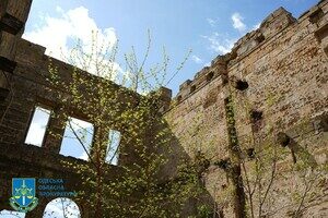 В Одесской области вернули в собственность государства усадьбу "человека-волка"