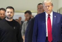 Зеленский и Трамп обсудили прекращение огня и мирное соглашение: что известно