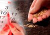 Посевной календарь на май 2025 года: когда садить овощи, зелень, деревья и цветы.