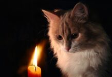 Масштабные отключения на весь день: где в Одессе в среду нет света