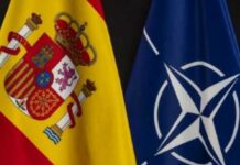 Одну з європейських країн звільнили від витрат 5% ВВП на оборону