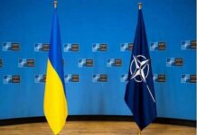 Трамп відвідає червневий саміт НАТО: чи буде там Зеленський