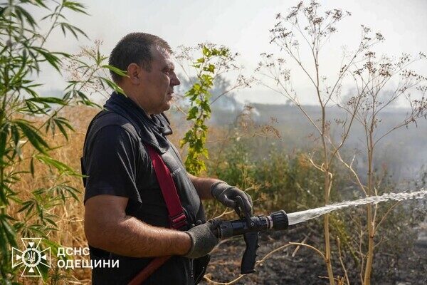 В Одессе чувствовался сильный запах гари: что произошло В Одессе чувствовался сильный запах гари: что произошло