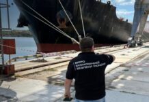 В Одессе директор агрофирмы зарегистрировала фиктивное общество: как ее наказал суд