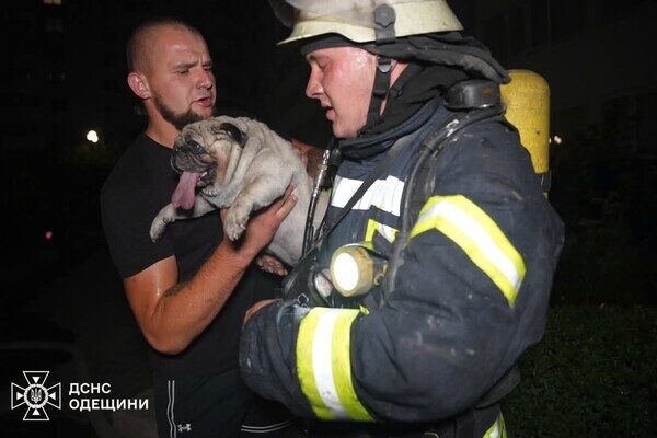 В Одесском районе горел ЖМ "Радужный": эвакуировали людей и спасали собак В Одесском районе горел ЖМ "Радужный": эвакуировали людей и спасали собак
