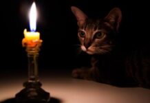 Суббота с отключениями: где в Одессе нет света