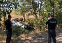 На Одесчине врезалась в дерево легковушка: погиб мужчина