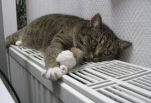 Отопительный сезон в Одесской области: насколько готовы к зиме