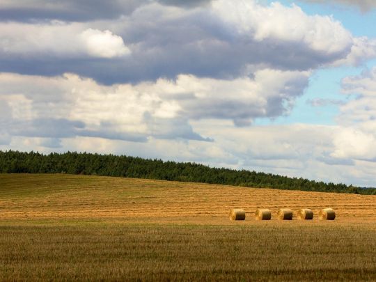 Літо відступає: спека спадає, в Україну йдуть дощі