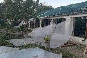 РФ обстреляла Ботанический сад Одессы: получили повреждения теплицы и растения