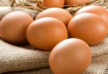 Яйця подорожчають: експерти спрогнозували, яких цін чекати і коли
