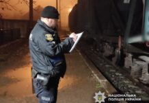 Бежала за козой: в Одесской области на железной дороге погибла женщина