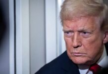 Трамп освобождает финансовых мошенников
