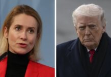 Трамп вводит тарифы против европейских союзников из-за Гренландии: ЕС готов отстаивать свои интересы