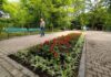 В Одессе на озеленение клумб планируют потратить более 815 тысяч гривен