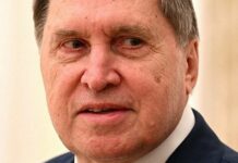 «Йдіть на…»: Ушаков різко відреагував на участь ЄС у переговорах про мир