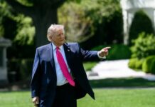 Трамп висловився щодо візиту путіна на саміт G20